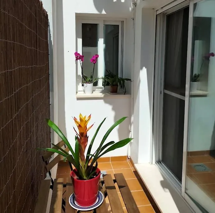 Estudio 52 Malaga Centrico Parking Gratuito Apartment Spain